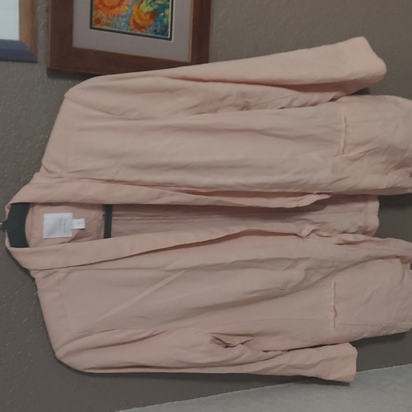 Lauren Conrad Oversized Pink Blazer Jacket - Women's Size 16, Cropped Sleeves - Picture 4 of 4